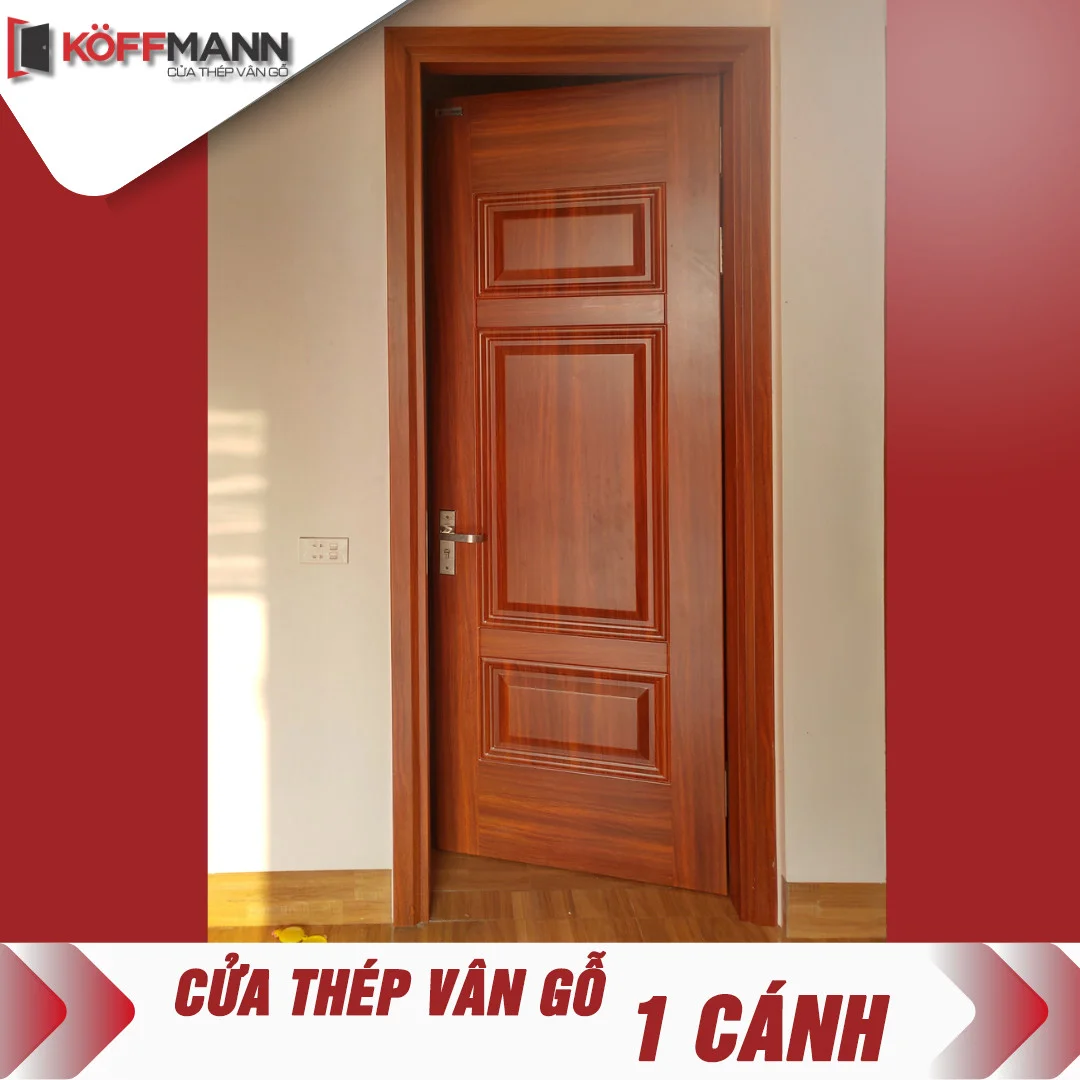 Cửa thép vân gỗ tại An Giang